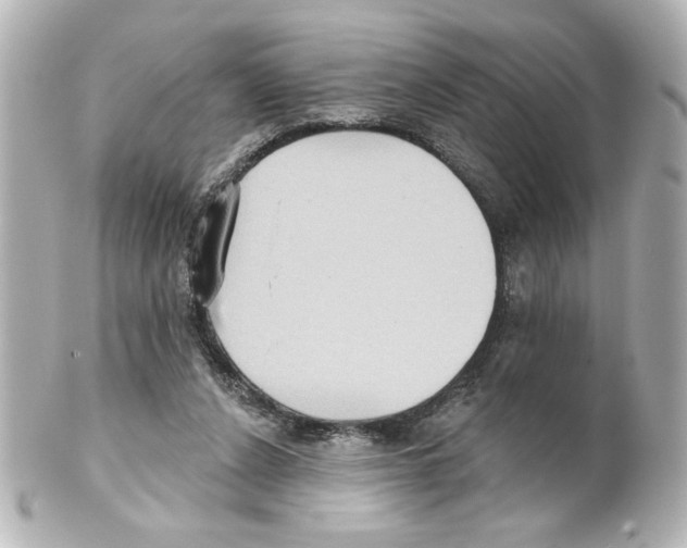 X0000101450256200808041025