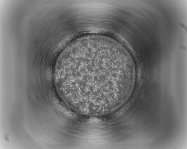 X0000101450257200808041025