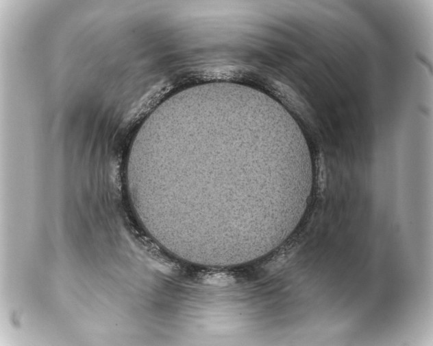 X0000101450258200808041025