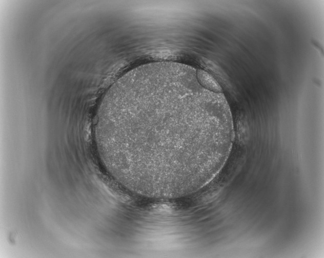 X0000101450259200808041025