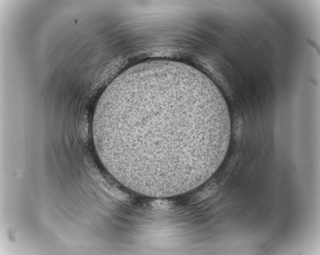 X0000101450261200808041025