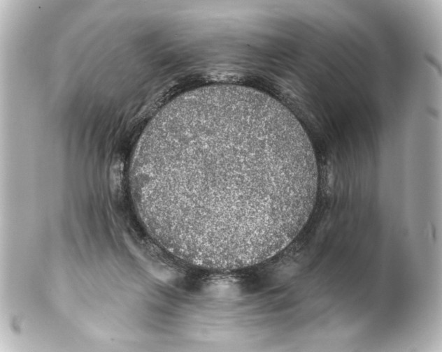 X0000101450263200808041025