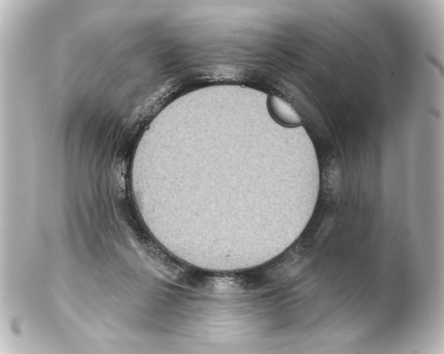 X0000101450264200808041025