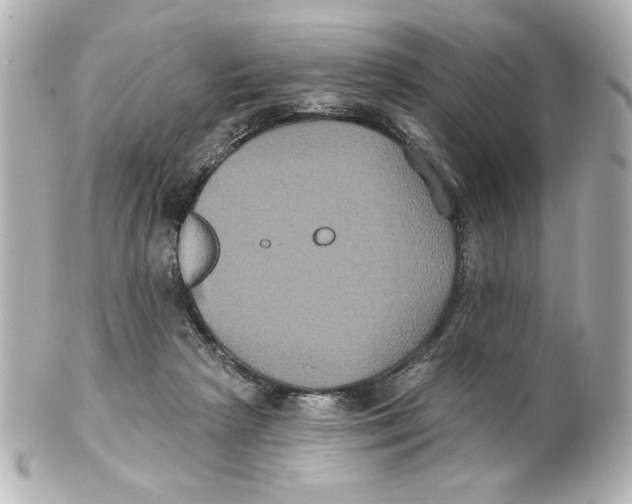 X0000101450265200808041025