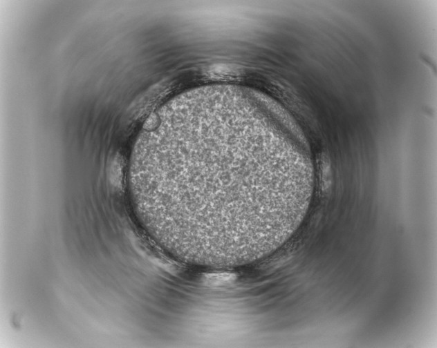 X0000101450266200808041025