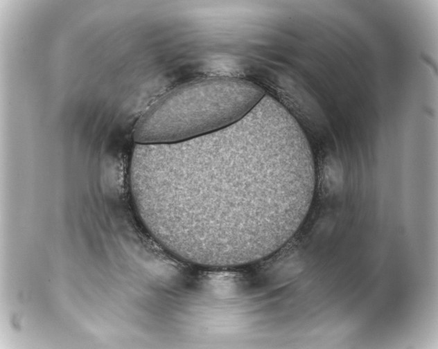 X0000101450268200808041025