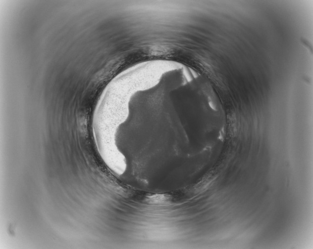 X0000101450269200808041025