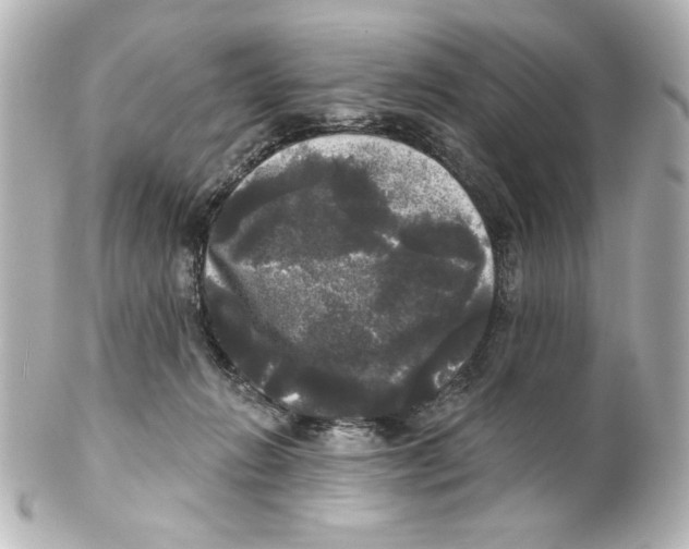 X0000101450270200808041025