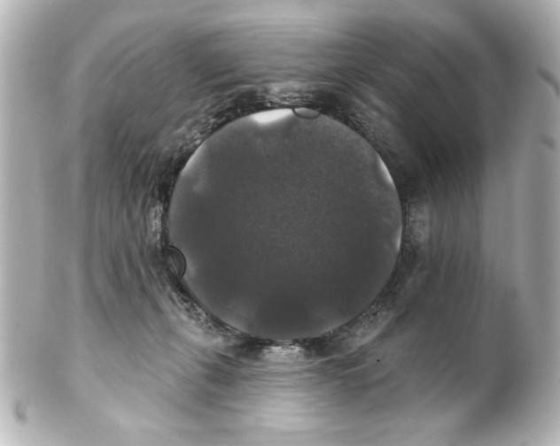 X0000101450271200808041025