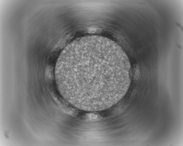 X0000101450272200808041025