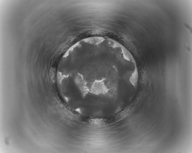 X0000101450273200808041025