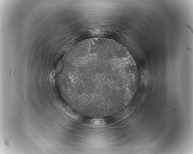 X0000101450275200808041025