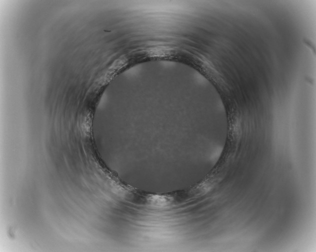 X0000101450277200808041025