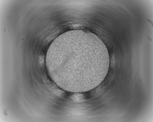 X0000101450278200808041025