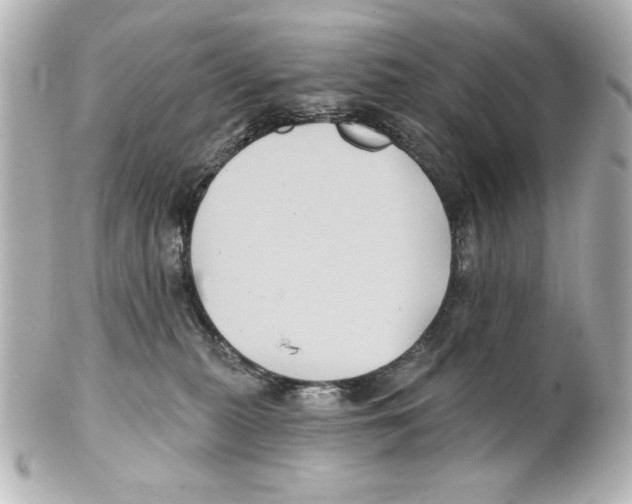 X0000101450279200808041025