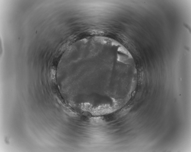 X0000101450281200808041026