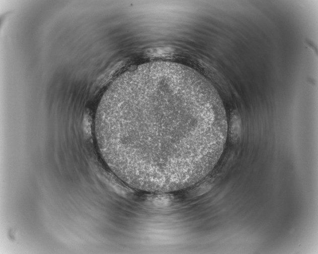 X0000101450282200808041026