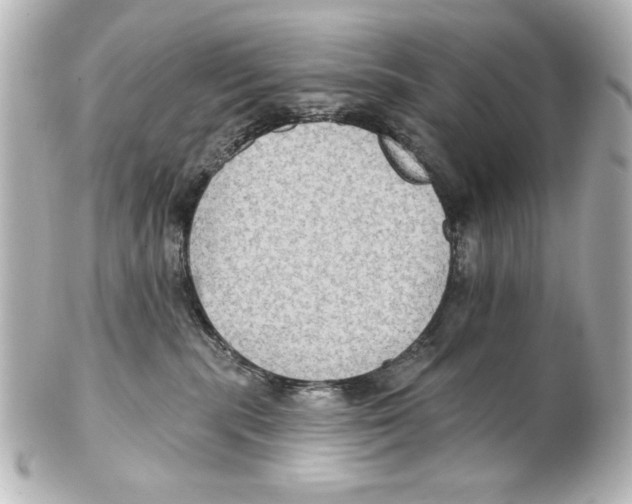 X0000101450283200808041026