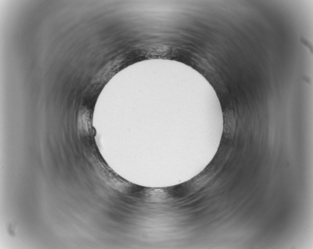 X0000101450287200808041026