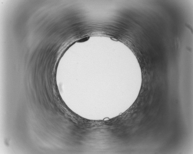 X0000101450289200808041025