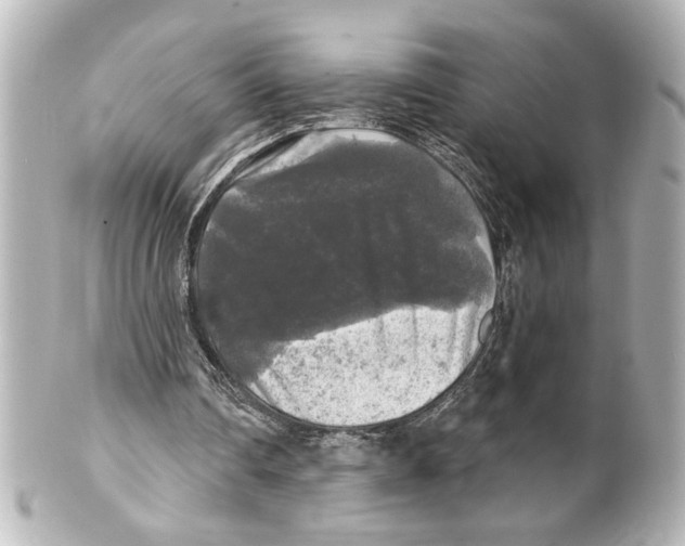 X0000101450290200808041025