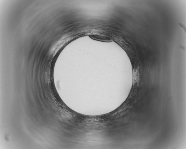 X0000101450291200808041025