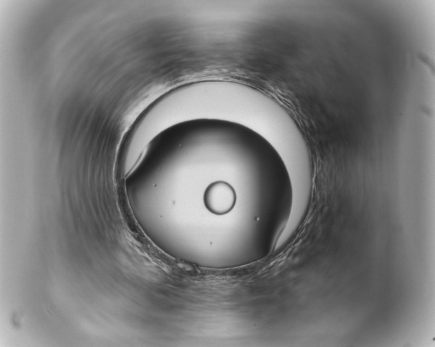 X0000101450292200808041025