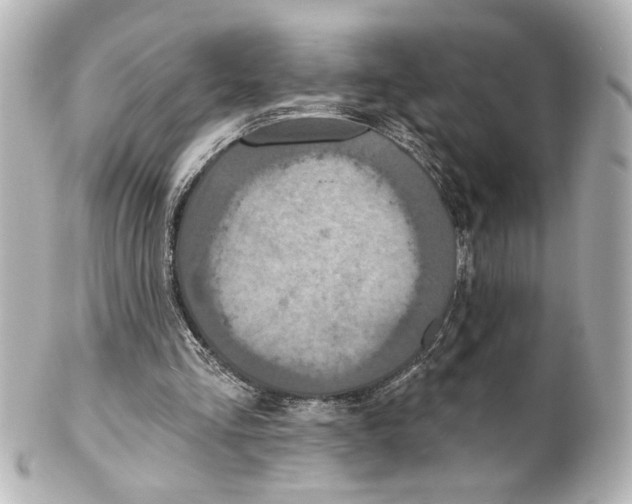 X0000101450293200808041025