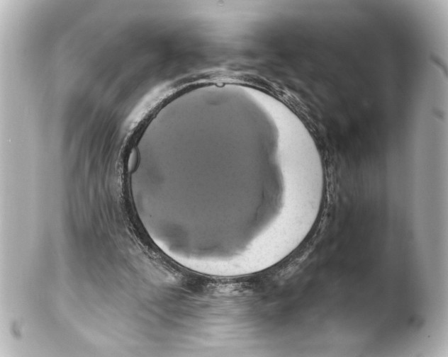 X0000101450295200808041025