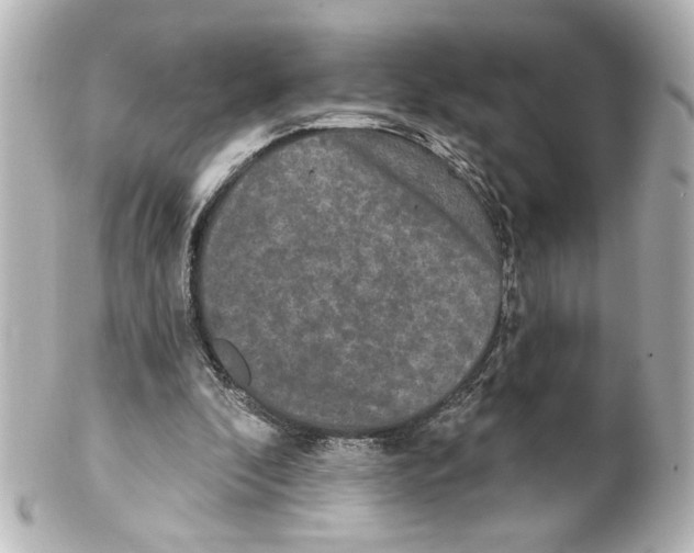 X0000101450296200808041025