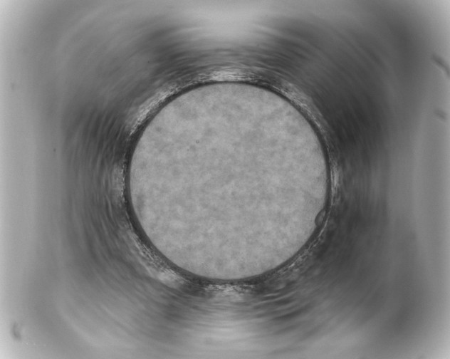 X0000101450297200808041025