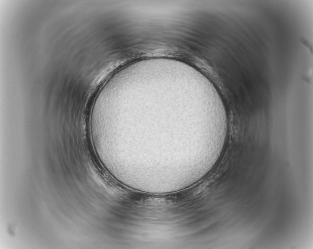 X0000101450298200808041025