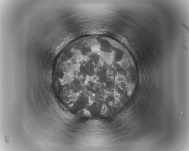 X0000101450299200808041025