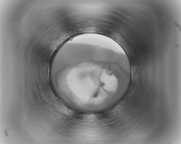 X0000101450301200808041025