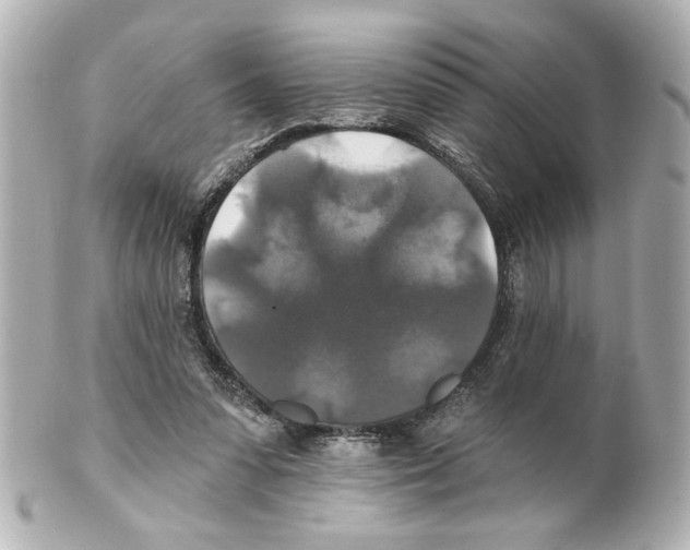 X0000101450303200808041025