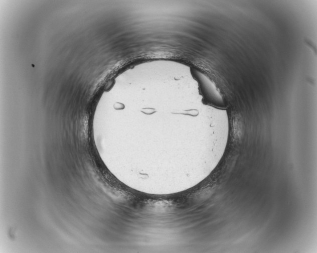 X0000101450304200808041025