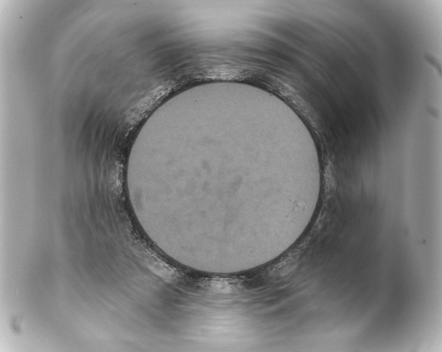 X0000101450305200808041025