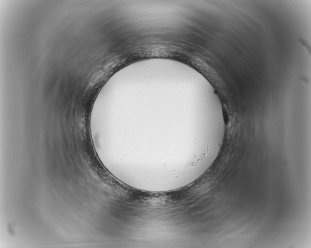 X0000101450306200808041025