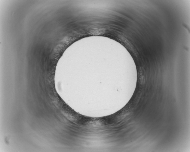 X0000101450307200808041025