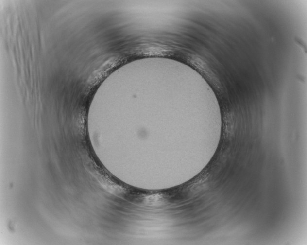 X0000101450309200808041025