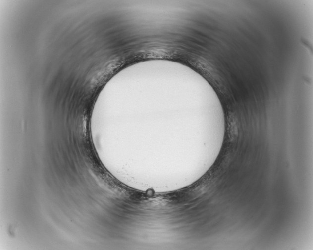 X0000101450310200808041025