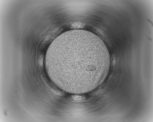 X0000101450315200808041025