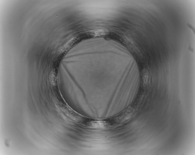 X0000101450316200808041025