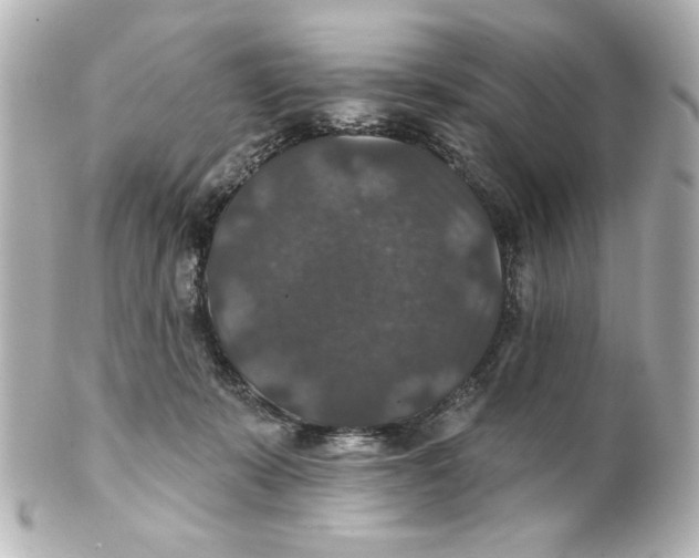 X0000101450319200808041025