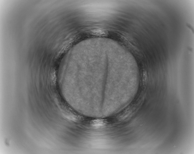 X0000101450320200808041024