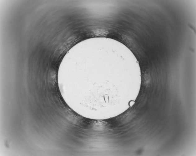 X0000101450321200808041024