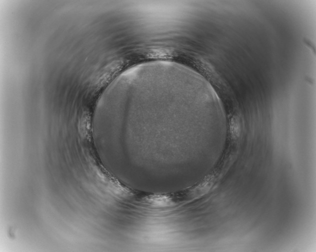 X0000101450322200808041024