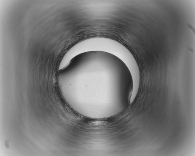 X0000101450323200808041024