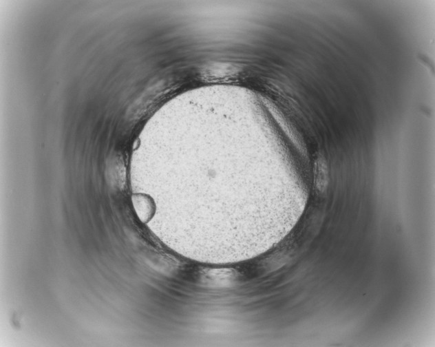 X0000101450324200808041024