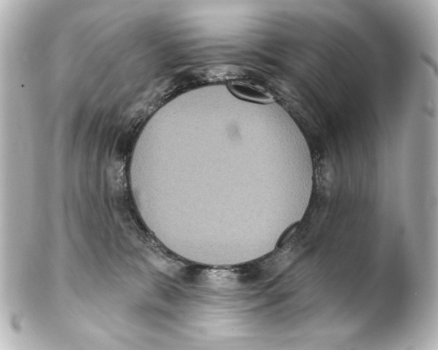 X0000101450327200808041024